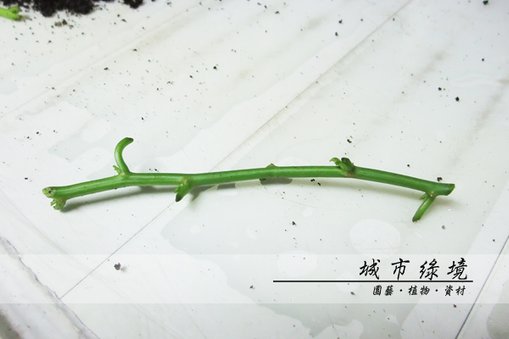 1020705002