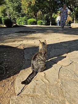 【克斯波黑】Day 07 科卡國家公園—史普利特