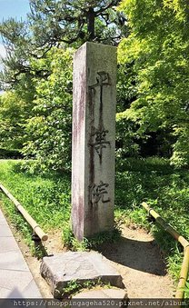 IMG_4308 (2)