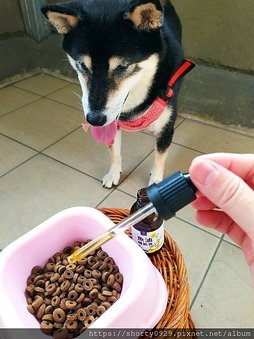 2021 毛起來毛食事計畫 7