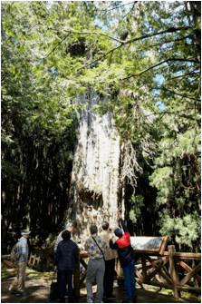image048.png