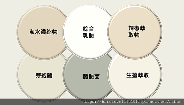 Simply Beaute簡單美 享SO仙氣速纖膠囊｜ 3日