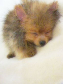 2010021115846.jpg