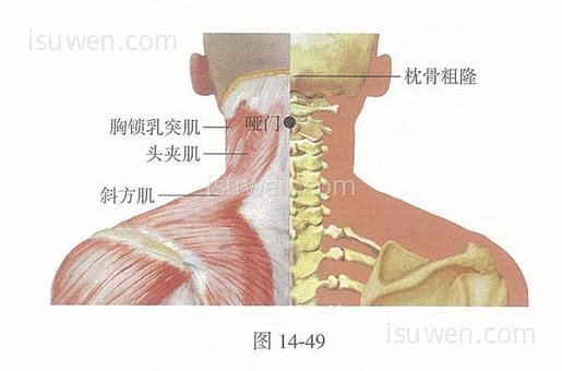 啞門穴.jpg