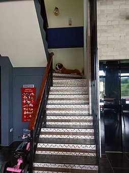 IMG20190616174255.jpg