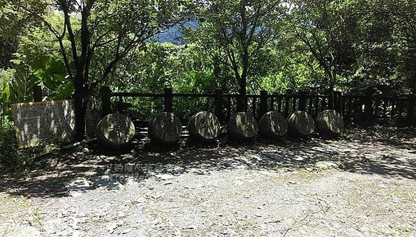 【旅遊|南投】南投三天兩夜之綠意盎然篇