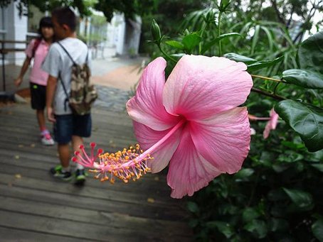 1030721台中草悟道04.jpg