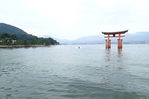 P8190060