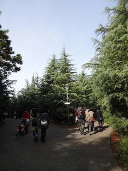 p145345379333.jpg