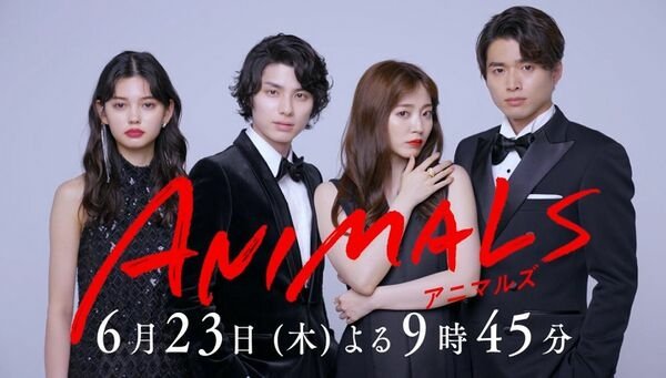 2022 日劇 ANIMALS