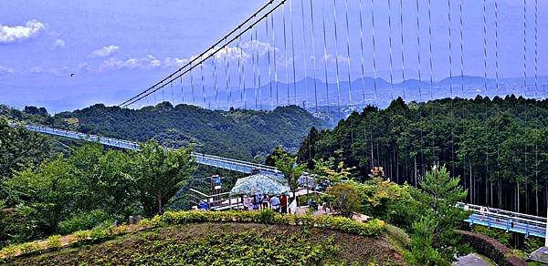 水鄉三島市  三嶋大社  御殿川  三島大吊橋