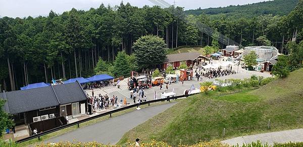 水鄉三島市  三嶋大社  御殿川  三島大吊橋