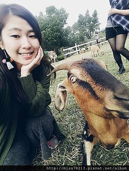 台東好玩新景點分享台東美食台東原生應用植物園鐵花村音樂聚落藍蜻蜓炸雞阿鋐炸雞台東3天兩夜行程推薦