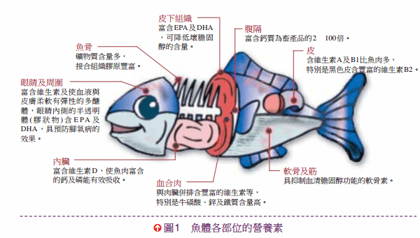 圖1、魚體各部分皆可利 用