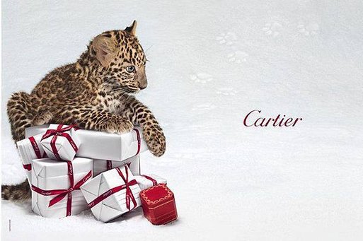 Cartier_Winter_Tale_Campaign_03.jpg