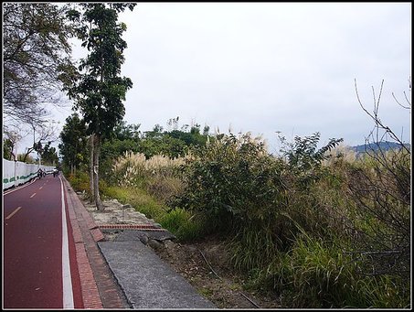 P1080386.jpg