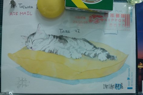 IMAG0012.jpg