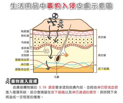 示意圖