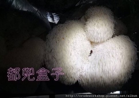 部落格用_170205_0084