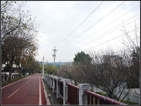P1080438.jpg