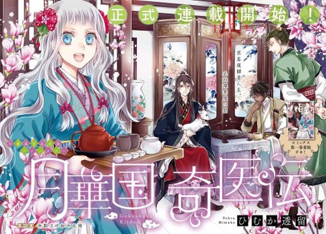 月華國奇醫傳.jpg