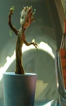 guardians-of-the-galaxy-groot and rocket (17).jpg