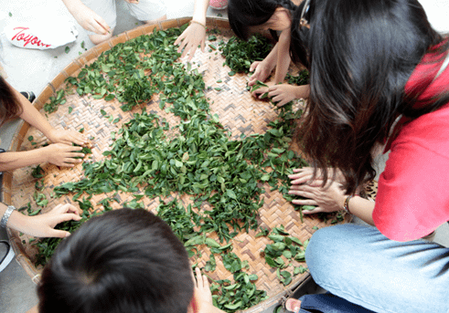 過年親子旅遊景點2