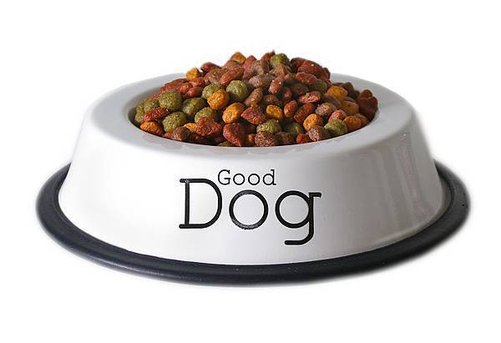 dog-food