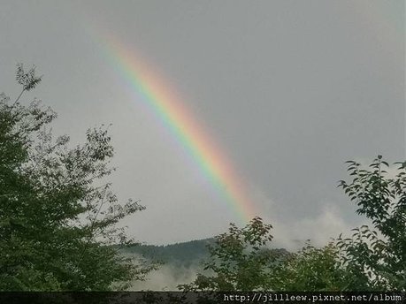 IMAG0135.jpg
