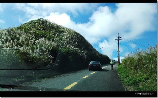 五分山賞芒草步道_20