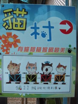 DSCN0813.jpg