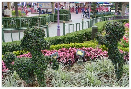 17.Hong Kong Disney Land.jpg