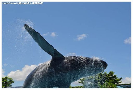 04.國立海洋生物博物館