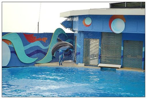 21.海洋劇場.JPG