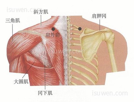 肩外俞穴.jpg