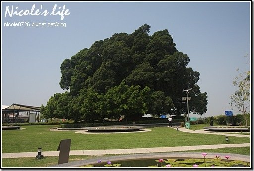 2009-MAY-02-007