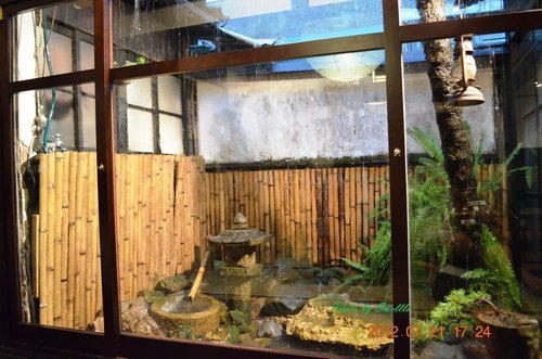 草屯●寶島時代村/台中●心之芳庭