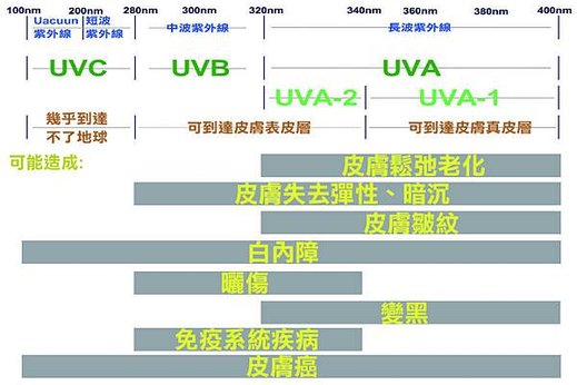 紫外線示意圖.jpg