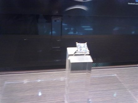20101015229.jpg
