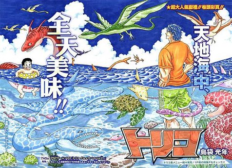 toriko 8