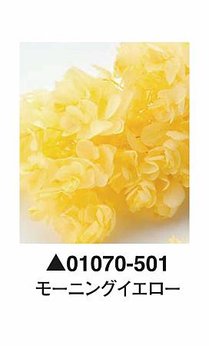 大地農園01070-501_繡球花哪裡買_繡球花介紹_永生花專賣_永生花推薦_愛意花坊-2022.jpg