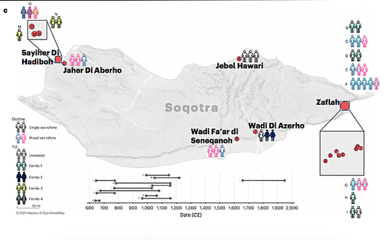 阿拉伯南方與非洲之間，索科特拉島民源自中東，罕有非洲血緣