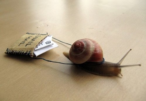 snail_mail-600x450