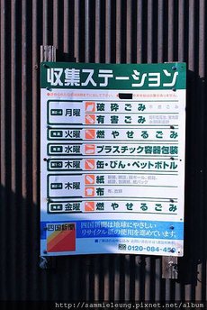 IMG_8870COPY