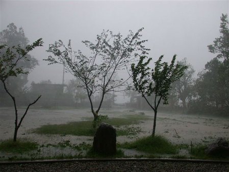 風雨中