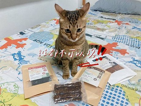 PU-CHi讓毛小孩撲吃的寵物漢方零食😆