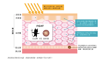圖片 2.png