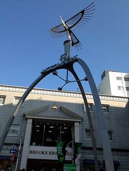 IMG_1573
