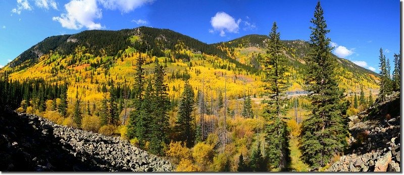 Fall colors, Guanella Pass, Colorado (25)