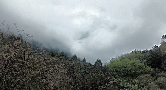 苗栗 (7)